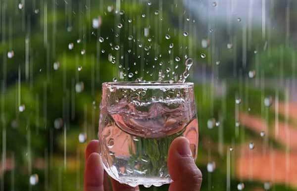 Lợi ích của nước mưa