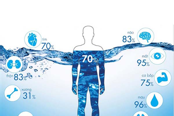 nước quan trọng như thế nào với cơ thể