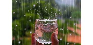 Lợi ích của nước mưa mà nhiều người chưa biết ?