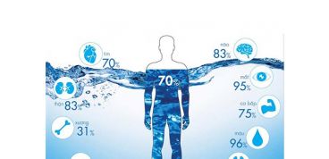Nước quan trọng như thế nào đối với sức khỏe